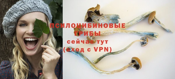 скорость mdpv Белокуриха