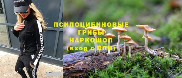 гашик Балахна
