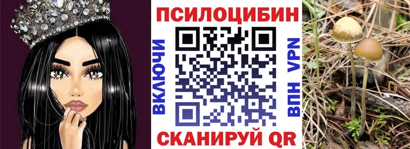 Псилоцибиновые грибы MAGIC MUSHROOMS  гидра ONION  Коммунар  продажа наркотиков 
